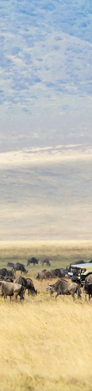 Ngorongoro Nationalpark